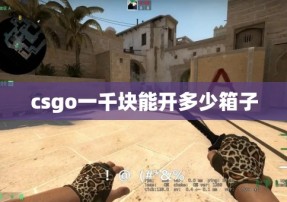 csgo一千块能开多少箱子