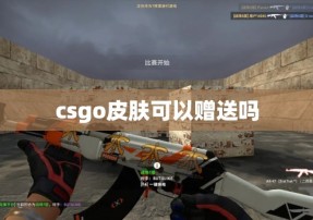 csgo皮肤可以赠送吗