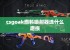 csgoak燃料喷射器选什么磨损