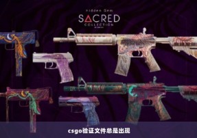 csgo验证文件总是出现