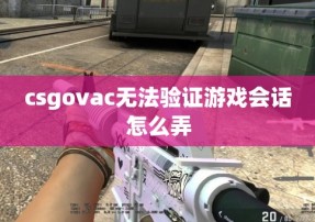 csgovac无法验证游戏会话怎么弄