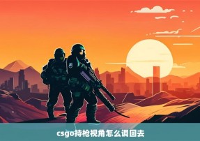 csgo持枪视角怎么调回去