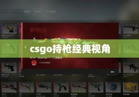 csgo持枪经典视角