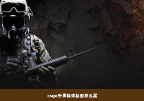 csgo升级优先状态怎么买