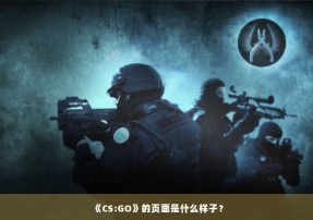 《CS:GO》的页面是什么样子？