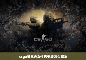 csgo第三方文件已安装怎么解决