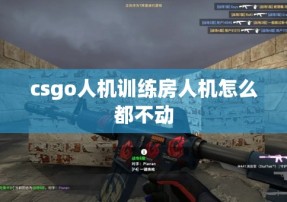 csgo人机训练房人机怎么都不动