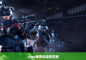 csgo通用启动项空的