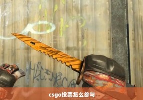 csgo投票怎么参与