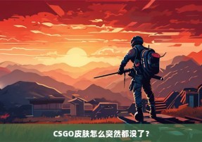 CSGO皮肤怎么突然都没了？