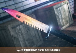 csgo开发者控制台打开之后为什么不涨经验