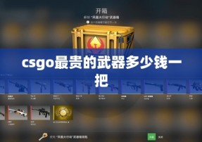 csgo最贵的武器多少钱一把