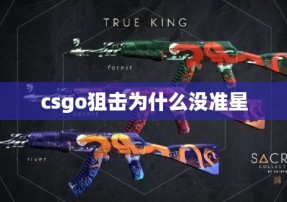 csgo狙击为什么没准星