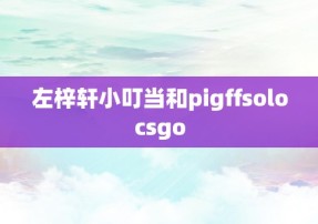 左梓轩小叮当和pigffsolocsgo