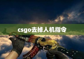 csgo去掉人机指令