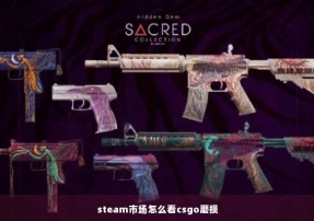 steam市场怎么看csgo磨损