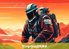 打csgo什么显示屏好