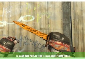 csgo端游账号怎么注册 (csgo端游下载要钱吗)