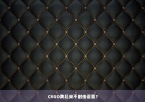 CSGO跳起来不射击设置？