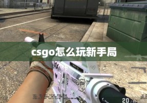 csgo怎么玩新手局