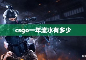 csgo一年流水有多少