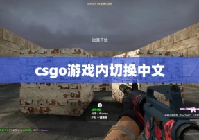 csgo游戏内切换中文