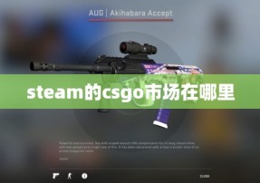 steam的csgo市场在哪里