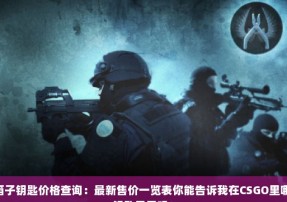 CSGO箱子钥匙价格查询：最新售价一览表你能告诉我在CSGO里哪些箱子钥匙最贵吗？