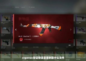 csgovac验证错误需要删除什么文件