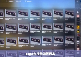 csgo大行动如何回本