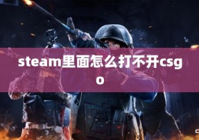 steam里面怎么打不开csgo