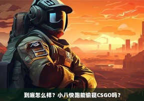 到底怎么样？小八快跑能偷窥CSGO吗？