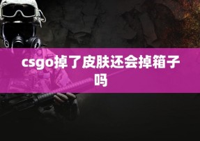 csgo掉了皮肤还会掉箱子吗