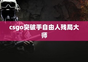 csgo突破手自由人残局**