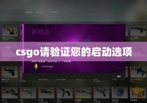 csgo请验证您的启动选项