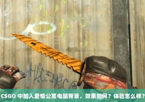 CSGO 中加入爱情公寓电脑背景，效果如何？体验怎么样？