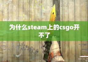 为什么steam上的csgo开不了