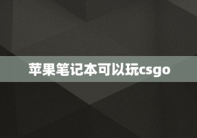 苹果笔记本可以玩csgo