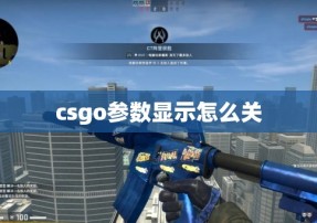 csgo参数显示怎么关