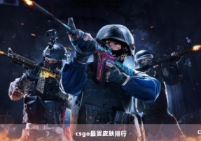 csgo最贵皮肤排行