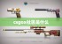 csgox社区是什么