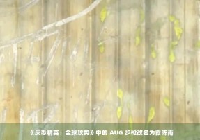 《反恐精英：全球攻势》中的 AUG 步枪改名为霞阵雨