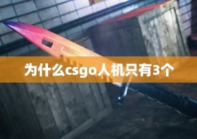 为什么csgo人机只有3个