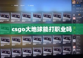 csgo大地球能打职业吗