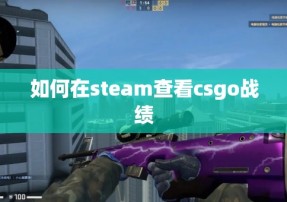 如何在steam查看csgo战绩