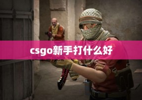 csgo新手打什么好