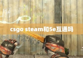 csgo steam和5e互通吗