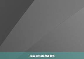 csgosimple游戏时长