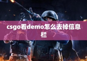 csgo看demo怎么去掉信息栏