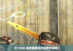 打 CSGO 真的需要非常好的外设吗？